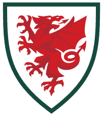 Wales football badge